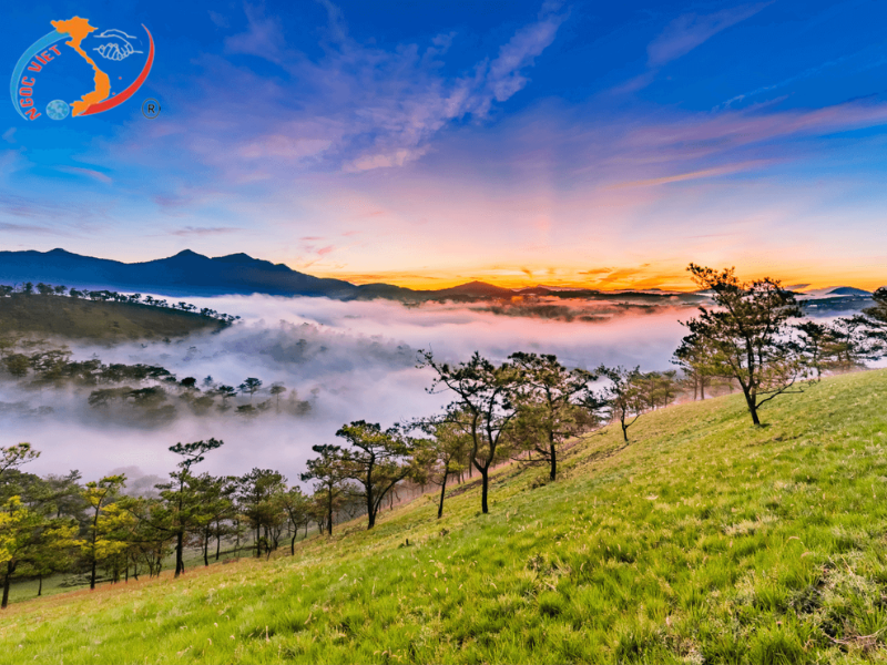 TOUR ĐÀ LẠT 3 NGÀY - KDL MONGO LAND - CAO NGUYÊN HOA ĐÀ LẠT - SAMTEN HILLS - HÈ 2024 - TRỌN GÓI