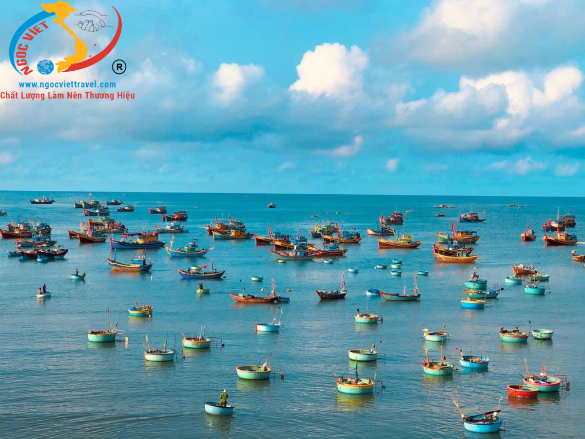 TOUR PHAN THIẾT - HANNA BEACH 2 NGÀY - Team Building + Gala Dinner - HÈ 2024