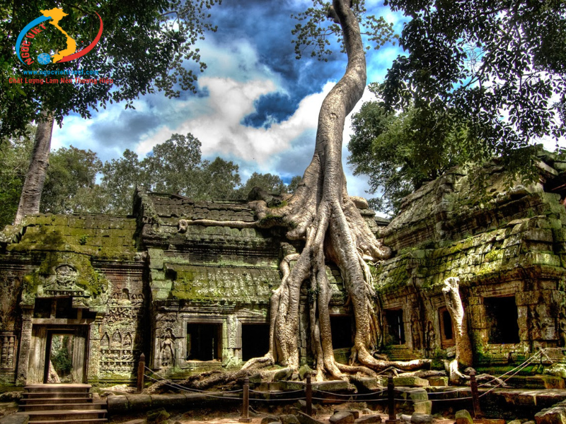 TOUR CAMPUCHIA - MÙA NƯỚC NỔI - SIEM REAP - PHNOM PENH 4 SAO