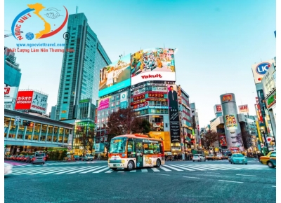 TOUR OSAKA – KYOTO –  NAGOYA – YAMANASHI - TOKYO - KHÁM PHÁ CUNG ĐƯỜNG VÀNG